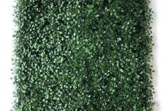 Artificial_Turf_Ivy_Boxwood_Dark_954e9849-e844-4cde-91fa-1361ff7121ef_480x640