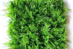 Artificial_Turf_Ivy_Fern_24832657-09b5-4ebd-a49e-fbc474f62e26_480x640