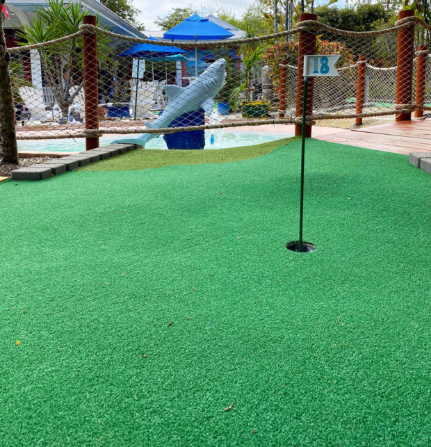 Mini-golf putting green artificial grass in Delray Beach, FL