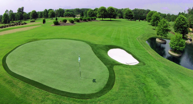 Synthetic grass in Wellington, FL for a golf course