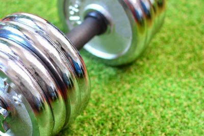 A Dumbbell Laying on a Patch of Synthetic Grass in Fort Pierce, Florida